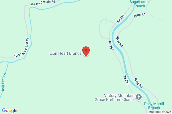 Lion Heart Brands LLC
