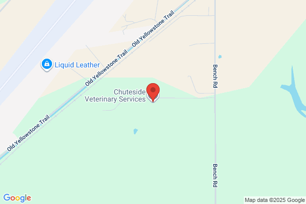 Chuteside Veterniary Service