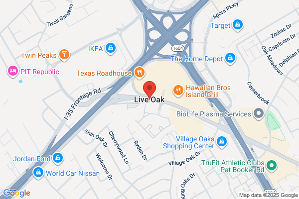 Live Oak 1