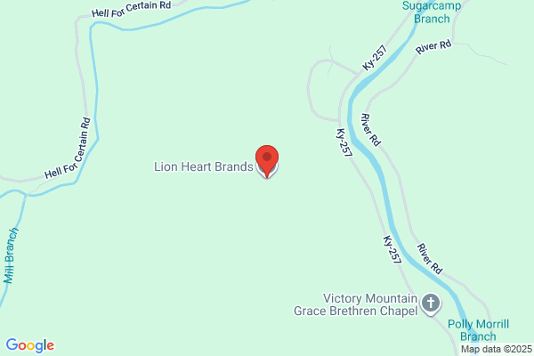 Lion Heart Brands LLC