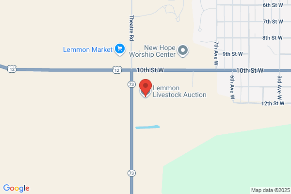 Lemmon Livestock Inc