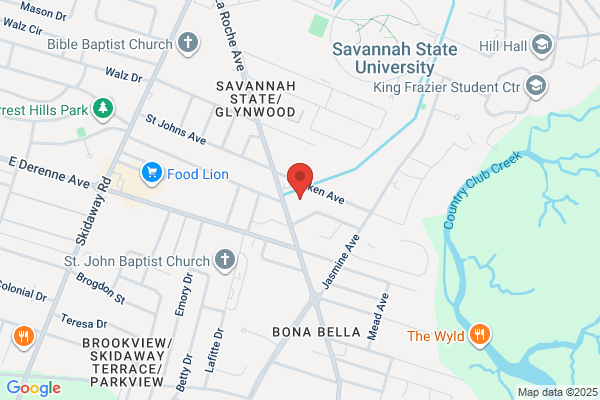 Savannah Analytical Services