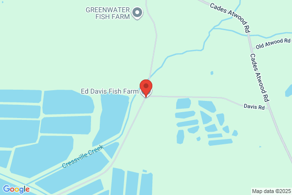 Davidson Catfish Farm