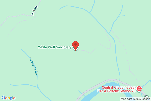 White Wolf Sanctuary
