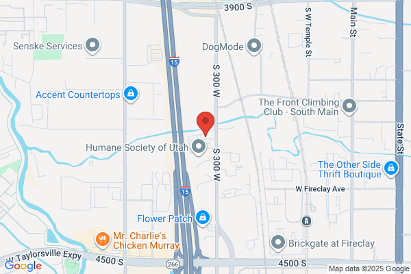 Legacy Towing & Recovery