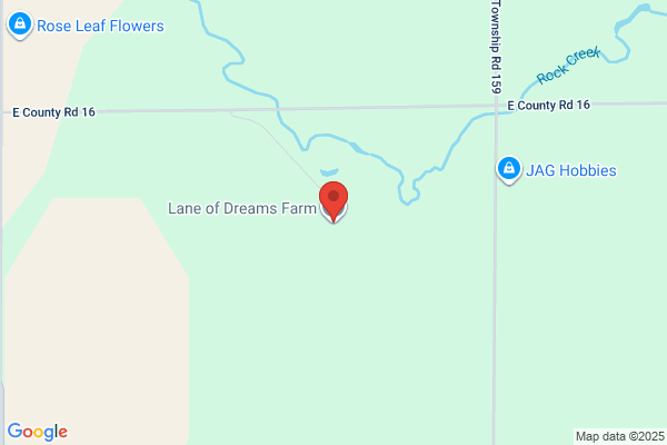 Lane of Dreams Farm Llc