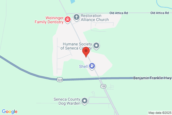 VCA Dog and Cat Hospital of Tiffin