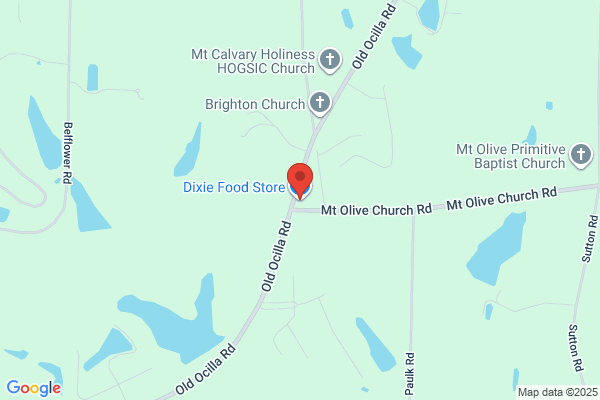 Dixie Lily Foods