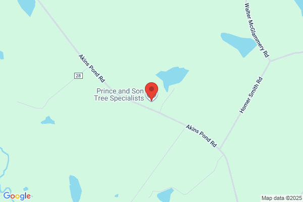 Prince Ricky Tree Surgeons