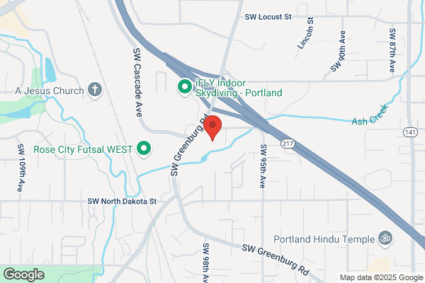 American Family Insurance - Damon Starnes