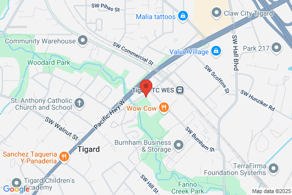 NerdsToGo - Tigard, OR