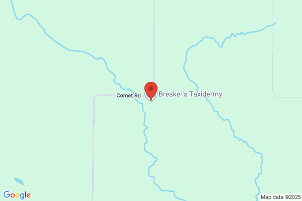 Breaker's Taxidermy