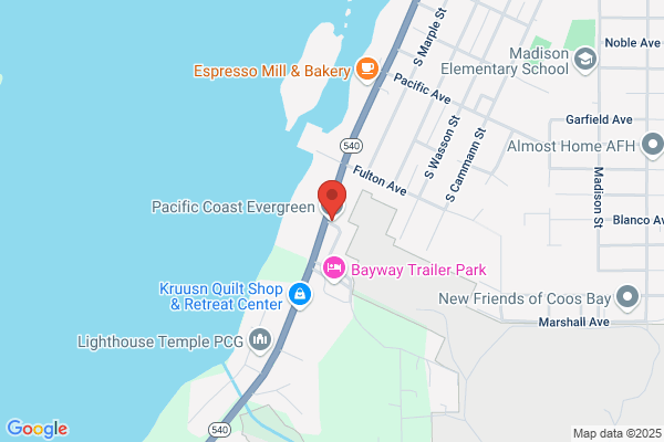 Baird's Oregon Coast Evergreen