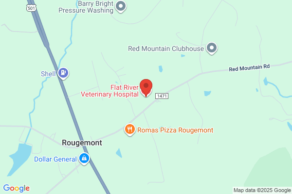Flat River Veterinary Hospital