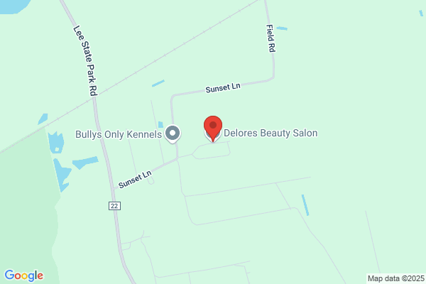 Deloris Styling Salon