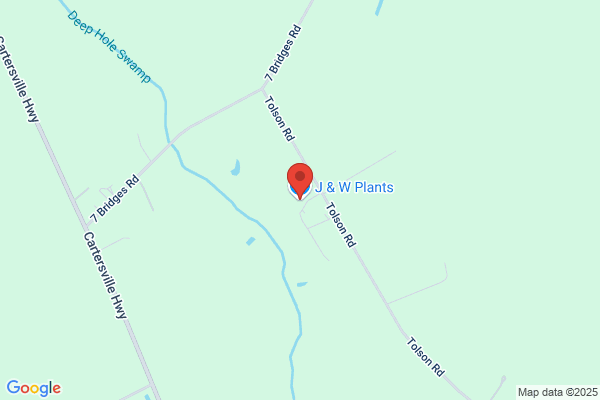 J & W Plants