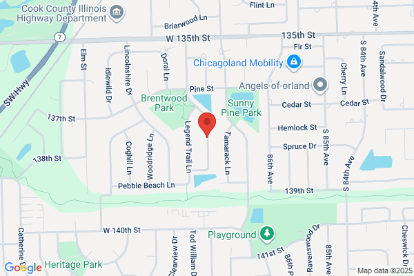 Consolidated High School District 230