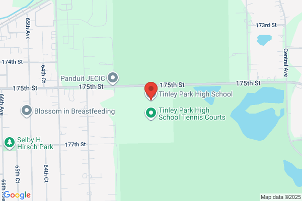 Tinley Park, Tinley Park High School