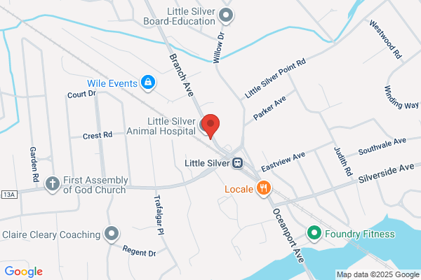 Little Silver Exxon