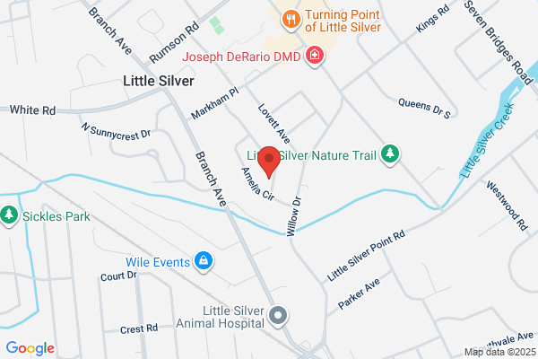 Little Silver Electric Inc