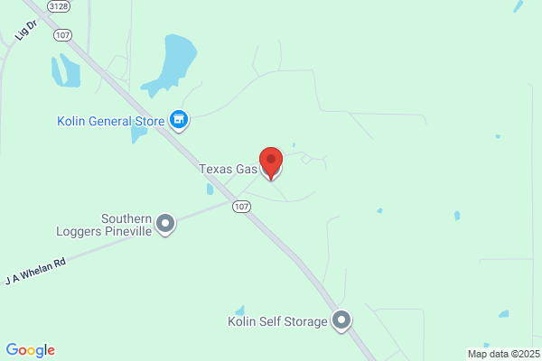 Texas Louisiana Cartage Inc
