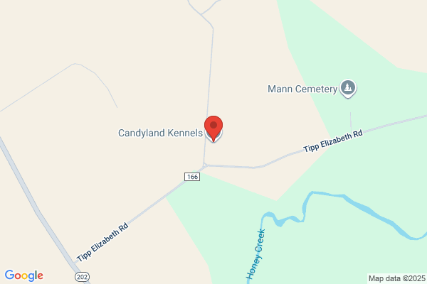 Candyland Kennels