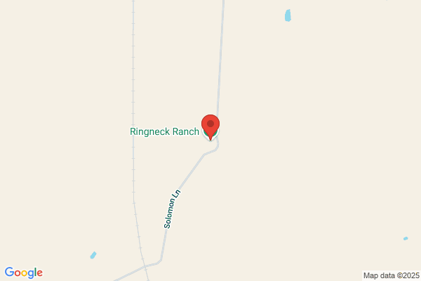 Ringneck Ranch Inc & Lodge