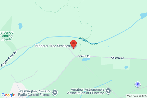 Niederer Tree Service