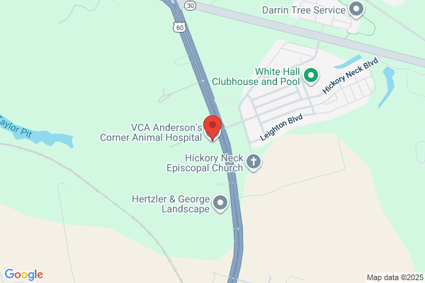 VCA Anderson's Corner Animal Hospital