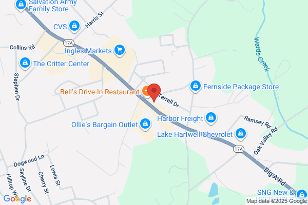 Advance Auto Parts