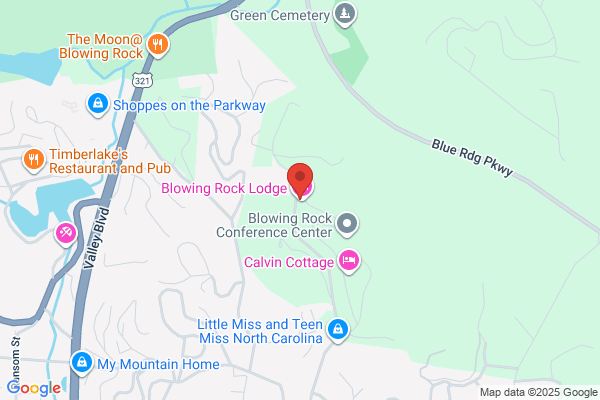 Blue Ridge Learning Centers Inc
