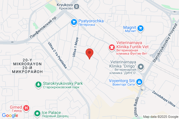 Motor Vehicle Licensing