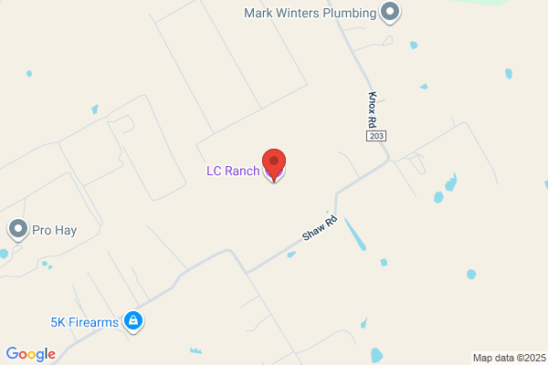 Big L Ranch