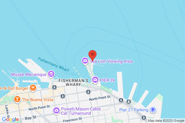 Pier 75 Dry Rack Marina