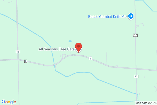 All Seasons Tree Care