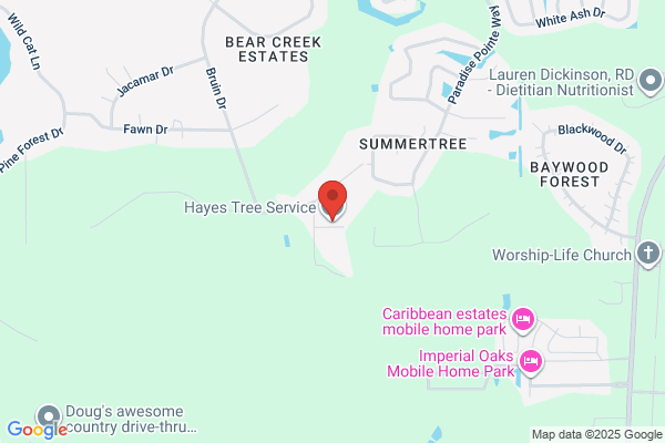 Hayes Tree Service