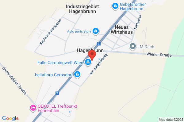 The Auto Garage
