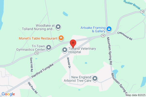Visiting Angels Of Northeastern Connecticut