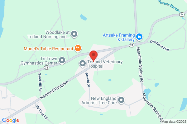 Tolland Computer Services