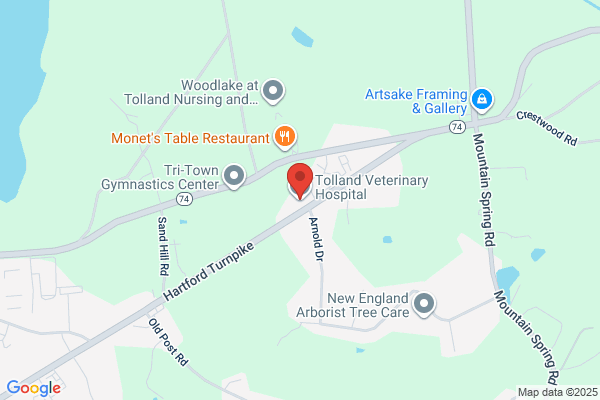 Tolland Veterinary Hospital