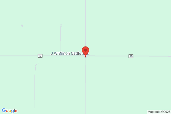 Simon Jw Cattle Co Inc