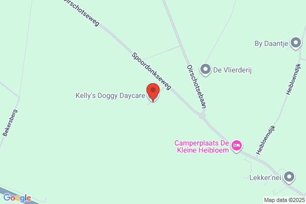 Kelly's Training & Doggie Daycare