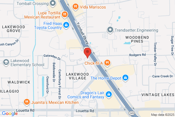 Hollywood Video