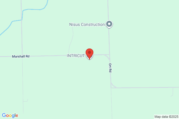Intri-Cut Inc