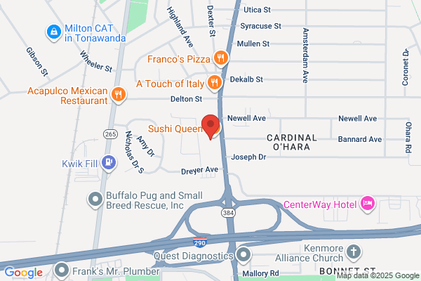 Council Opticians, Tonawanda