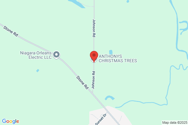 Mc Hughs Christmas Trees