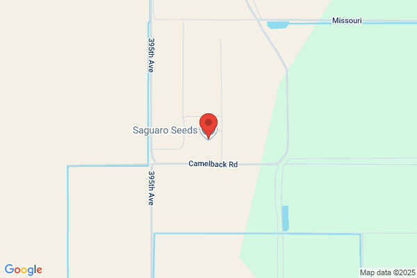 Saguaro Seeds LLC