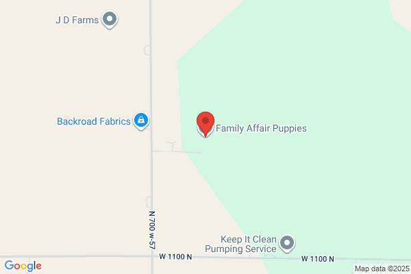 family affair puppies