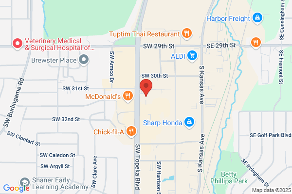 Advance Auto Parts