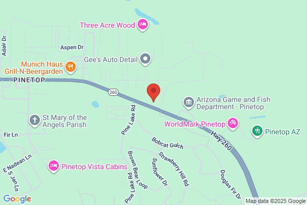 Pinetop Motors Inc, (Pinetop Lot)